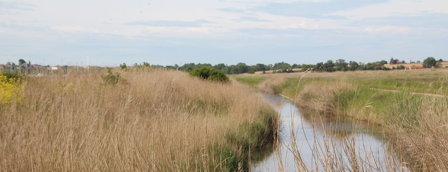 marais poitevin