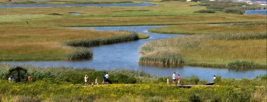 Tour of the Jard-sur-Mer Marshes Tour of the Jard-sur-Mer Marshes