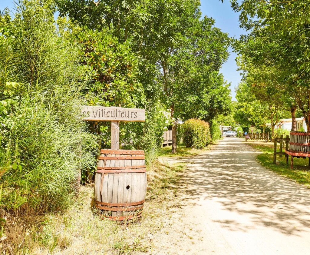 allee camping la grand metairie vendee