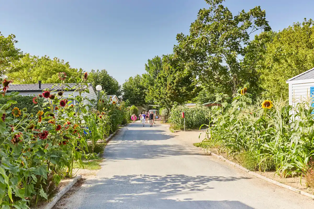 allée camping la grand métairie vendée