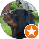 Cyrille Vignier profile picture